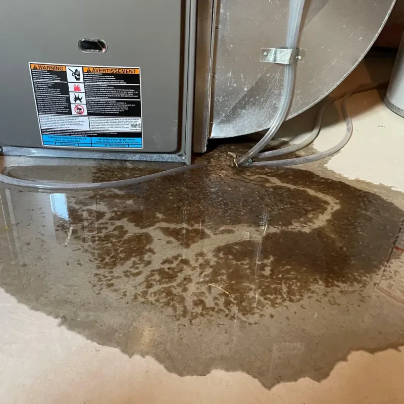 Appliance Leak Cleanup in Bridgeport, OH